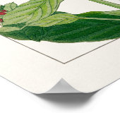 花はピンクと紫のフロックス谷上香南。 ポスター (角)