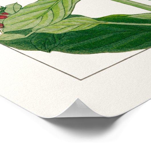 花はピンクと紫のフロックス谷上香南。 ポスター (角)