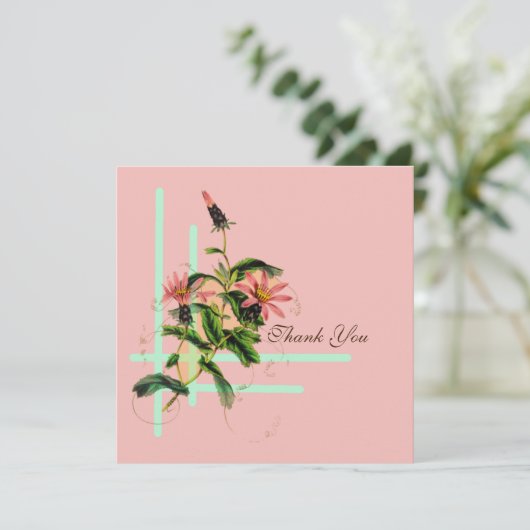 花はピンク (スタンド正面)