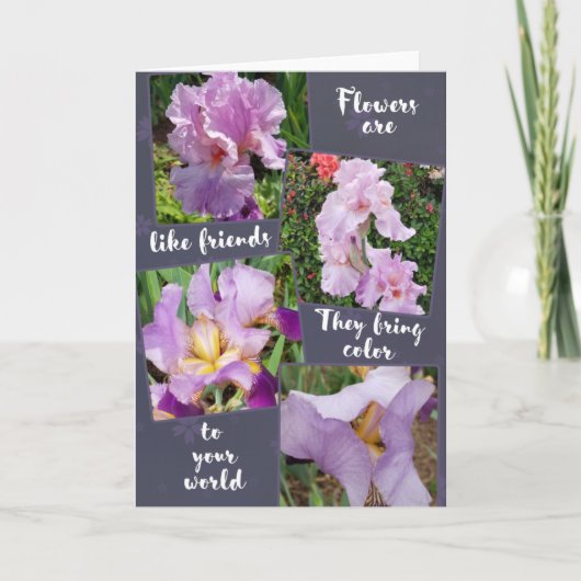 花は友達の挨拶状のようなもの シーズンカード (正面)