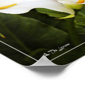 花は恋のみ ポスター (角)