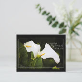 花は恋一つ ポストカード (スタンド正面)