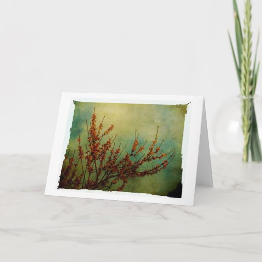 花は早く咲く カード (正面)