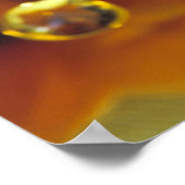 花びらが落ちるマイラー反射面の上。 ポスター (角)