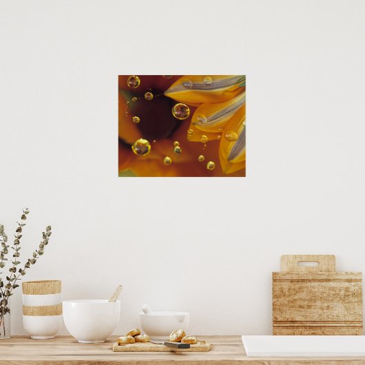 花びらが落ちるマイラー反射面の上。 ポスター (キッチン)