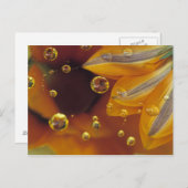 花びらが落ちるマイラー反射面の上。 ポストカード (正面/裏面)