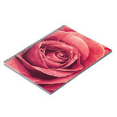 花びらのバラ ノートブック (左側)