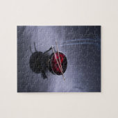 花びらのボールの上の非常に熱い香 ジグソーパズル (横)