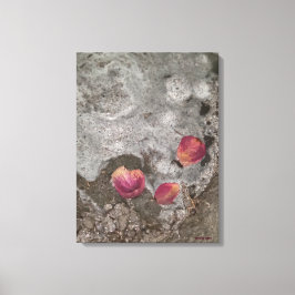 花びらの海岸 キャンバスプリント