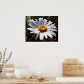 花びらの白 ポスター (キッチン)