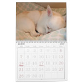 花びらアンカレンダー カレンダー (3月 2027)