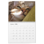 花びらフェザー&フレンド2022カレンダーと引用文 カレンダー (1月 2026)