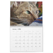 花びらフェザー&フレンド2023カレンダー カレンダー (1月 2026)