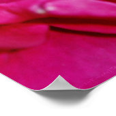 花びら・オブ・サマープリント ポスター (角)