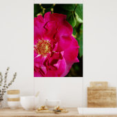 花びら・オブ・サマープリント ポスター (キッチン)