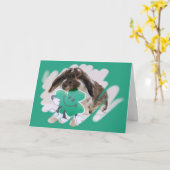 花びら・オ・ザ・シャムロック・カード カード (黄色い花)