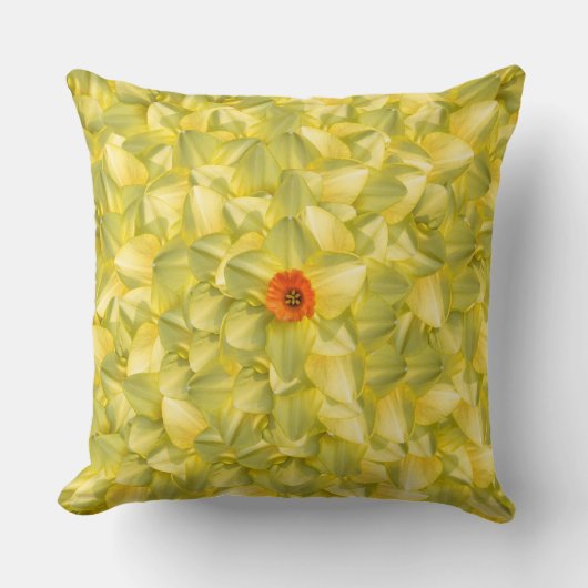 花びら クッション (正面)