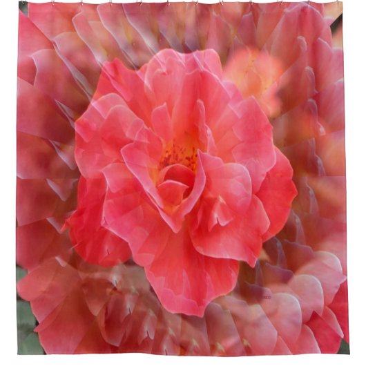 花びら..... シャワーカーテン (正面)