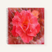 花びら..... ノートブック (正面)