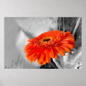 花びら ポスター (正面)