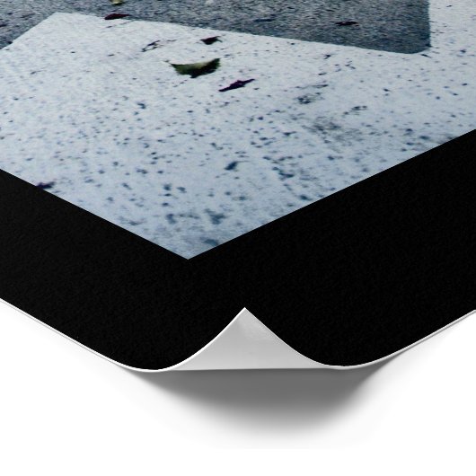 花びら ポスター (角)