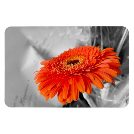 花びら マグネット (横)