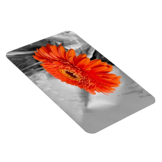 花びら マグネット (右側)