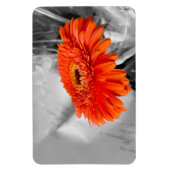 花びら マグネット (縦)