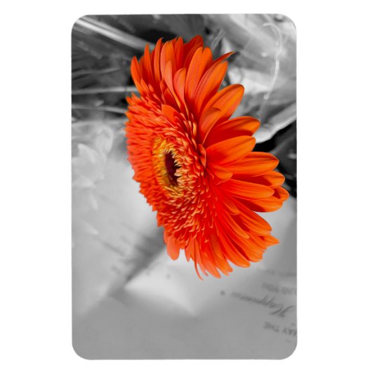 花びら マグネット (縦)