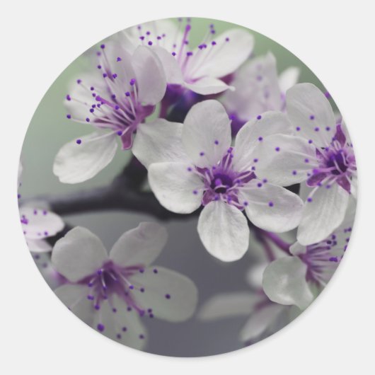 花びら ラウンドシール (正面)