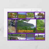 花への道 ポストカード (正面/裏面)