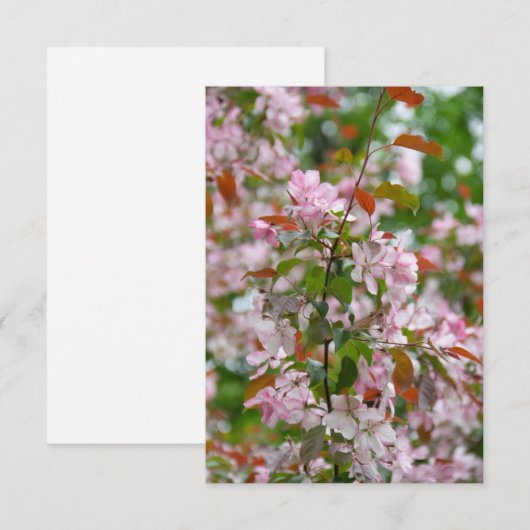 花りんご木の繊細な枝 (正面/裏面)