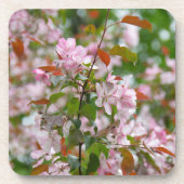 花りんご木の繊細な枝 コースター (正面)