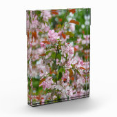 花りんご木の繊細な枝 フォトブロック (左)