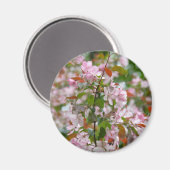 花りんご木の繊細な枝 マグネット (正面/裏面)