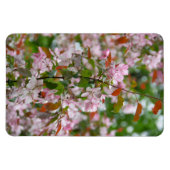 花りんご木の繊細な枝 マグネット (横)