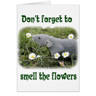 花をかいで下さい