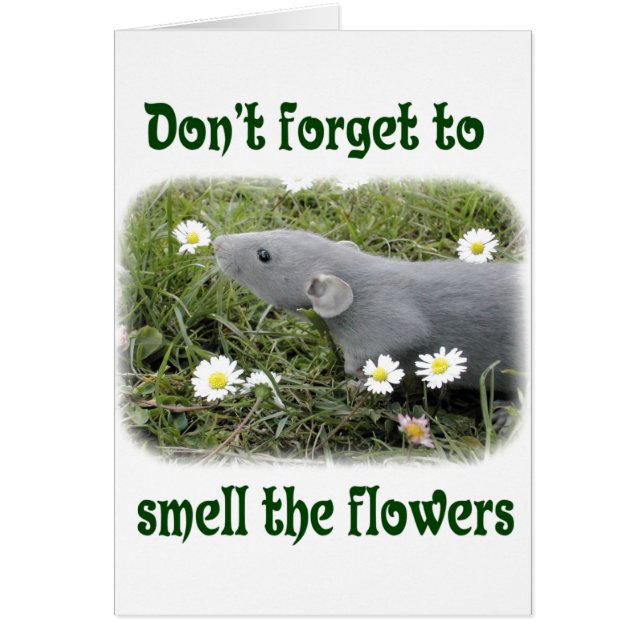 花をかいで下さい (正面)