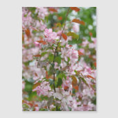 花を咲かせたりんごの木の細い枝 (正面)