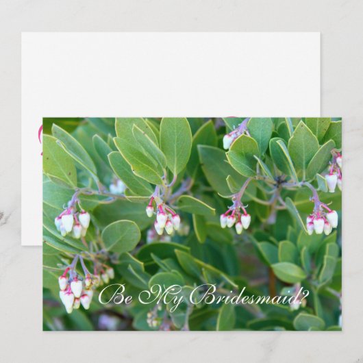 花を咲かせよ 招待状 (正面/裏面)