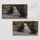 花を坐らせている白3のラブラドル・レトリーバー犬 名刺 (正面/裏面)