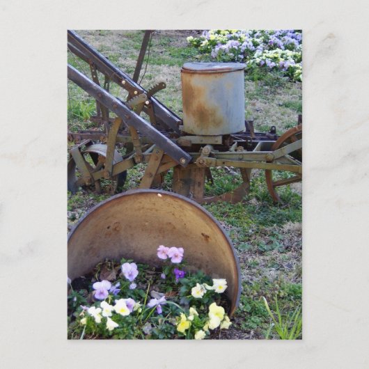 花を引く ポストカード (正面)