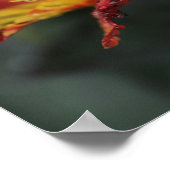 花アルストロエメリア ポスター (角)