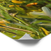 花イエローピンクのティール(緑がかった色)散水缶ファームハウス ポスター (角)