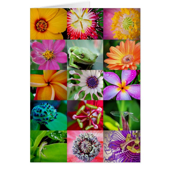 花エレガントと生き物の花柄 (正面)