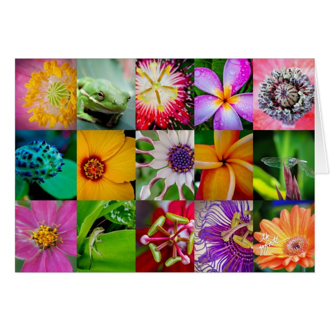 花エレガントと生き物の花柄 (正面横)