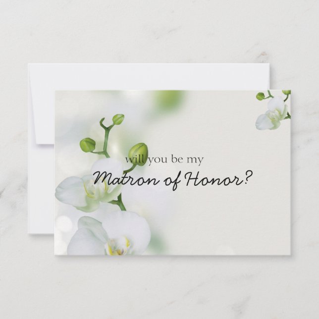 花エレガント蘭の花が咲く (正面)