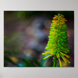 花カラフルサイケデリック写真 ポスター