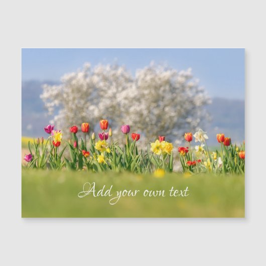 花カラフルチューリップ+水仙の磁気カード (正面)