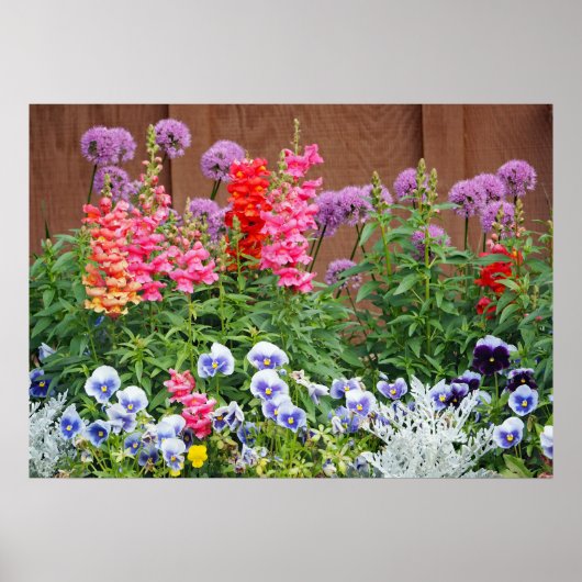 花カラフル園写真 ポスター (正面)